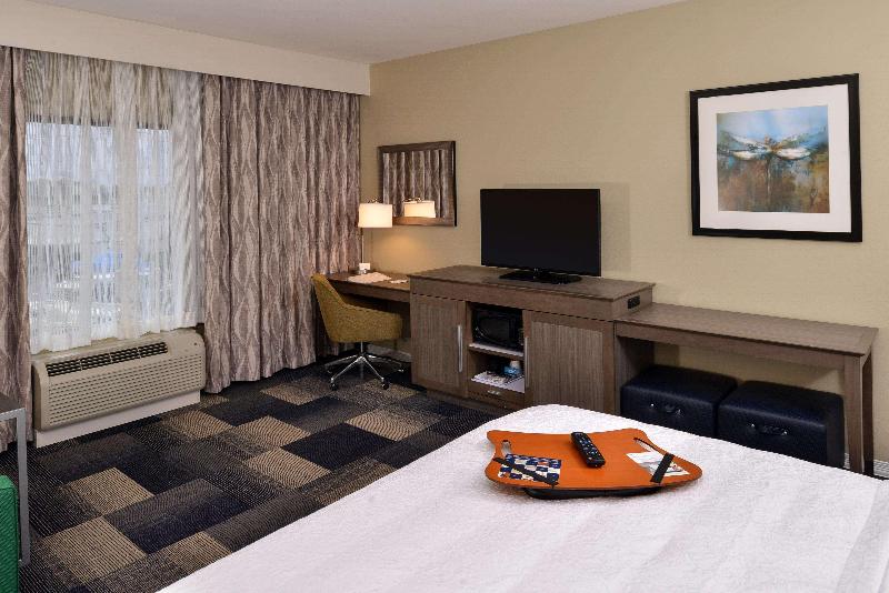 스탠다드 룸 킹사이즈 침대, Hampton Inn Broussardlafayette Area