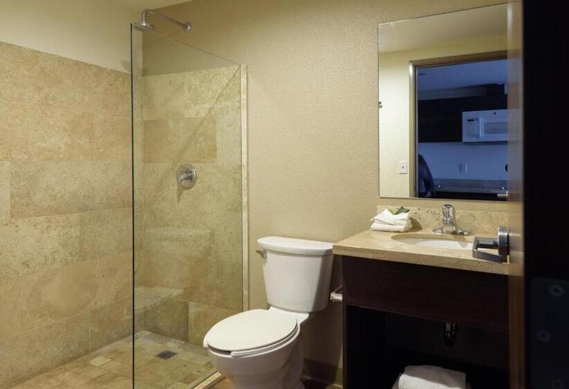 Люкс, Extended Suites Coatzacoalcos Forum