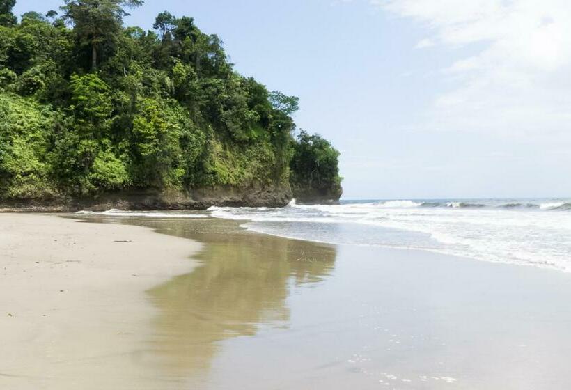 Номер Стандарт, Rain Forest Lodge Playa Jaguar Panama