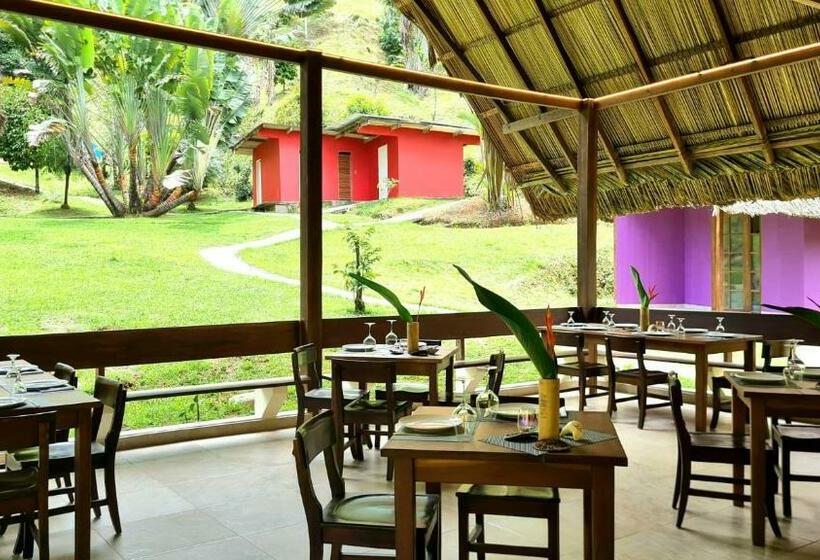 Номер Стандарт, Rain Forest Lodge Playa Jaguar Panama