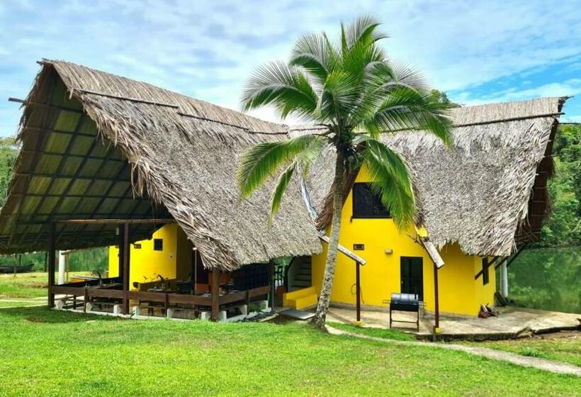 Номер Стандарт, Rain Forest Lodge Playa Jaguar Panama