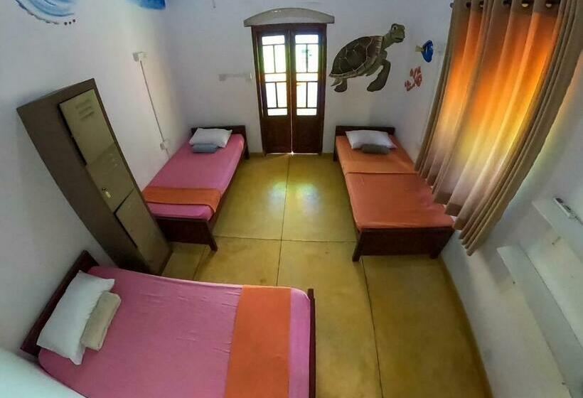 تختخواب در اتاق مشترک, Rockstel Towers Backpacker Hostel