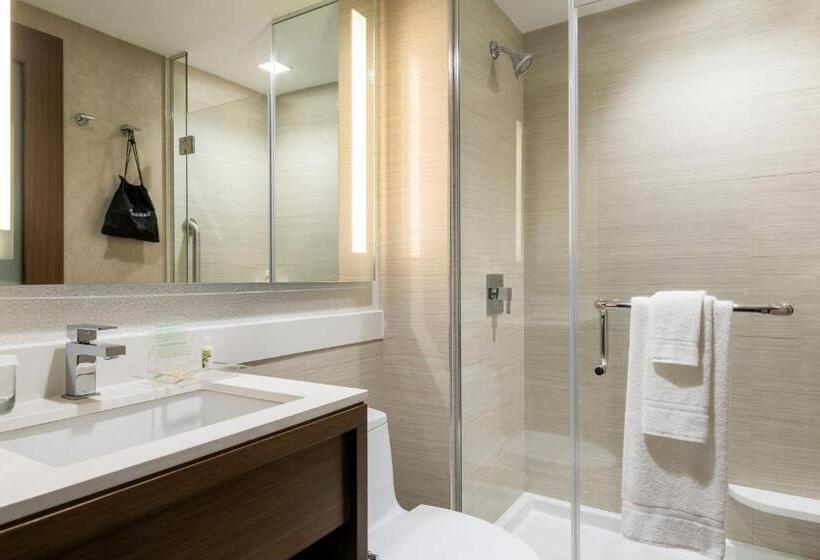 带大床的标准间, Holiday Inn Brooklyn Downtown, An Ihg