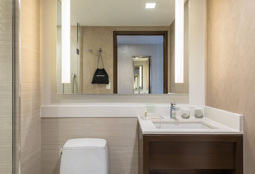 带2个双人床的标准工作室, Holiday Inn Brooklyn Downtown, An Ihg