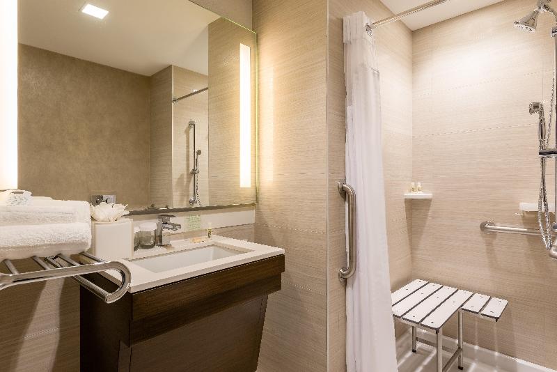 适合残疾人使用的标准间, Holiday Inn Brooklyn Downtown, An Ihg