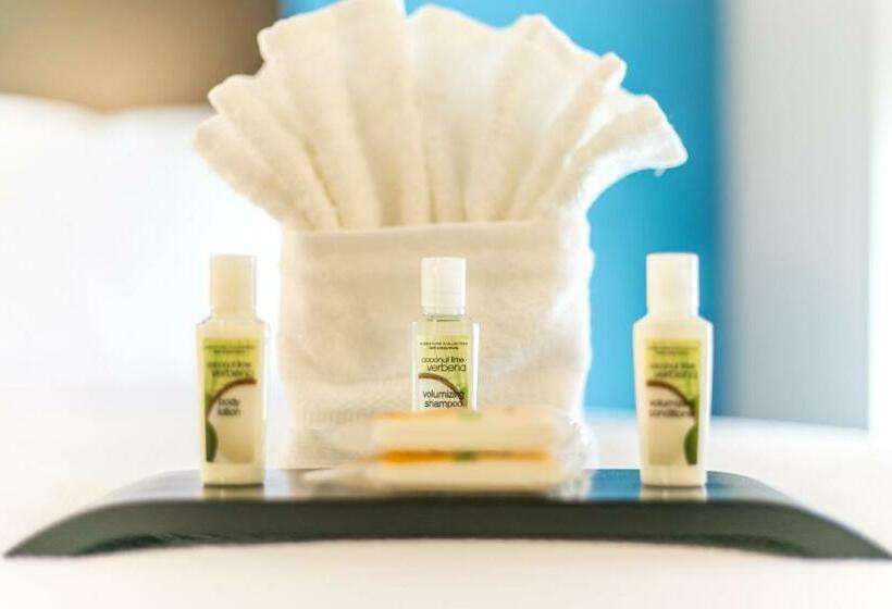 Номер Стандарт, Holiday Inn Hotel & Suites Chattanooga, An Ihg