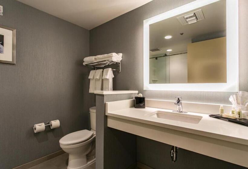 Quarto Estandar, Holiday Inn Hotel & Suites Chattanooga, An Ihg