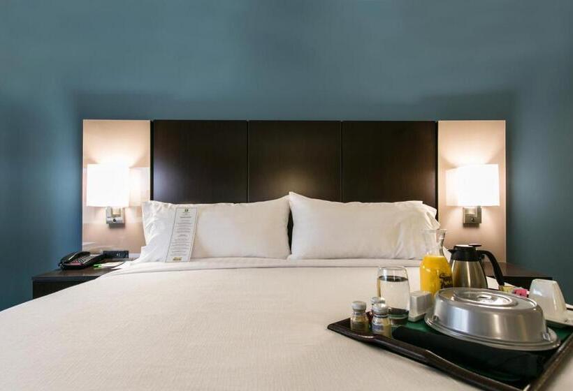 Номер Стандарт Кровать Кинг Адаптированный для Инвалидов, Holiday Inn Hotel & Suites Chattanooga, An Ihg