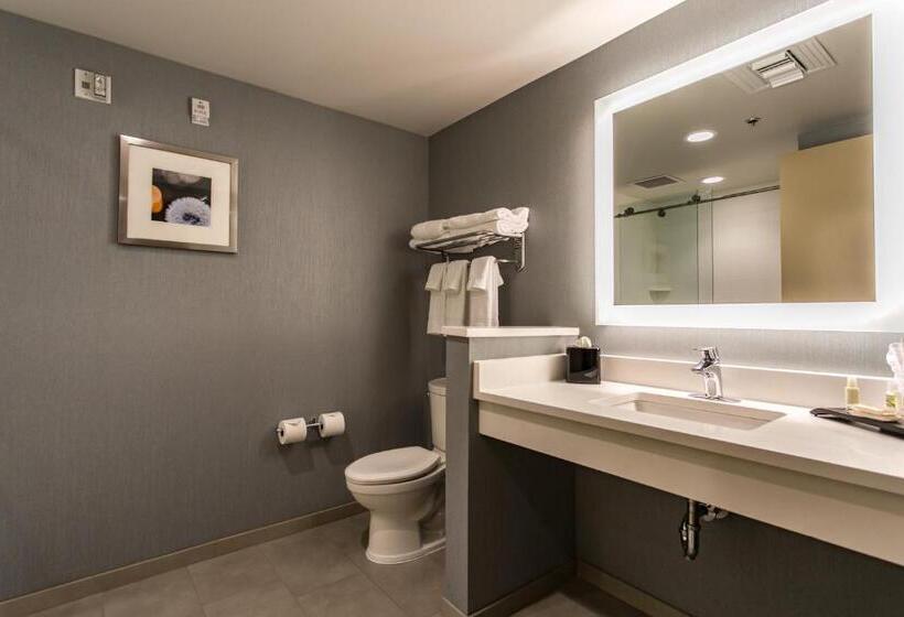 Quarto Estandar, Holiday Inn Hotel & Suites Chattanooga, An Ihg