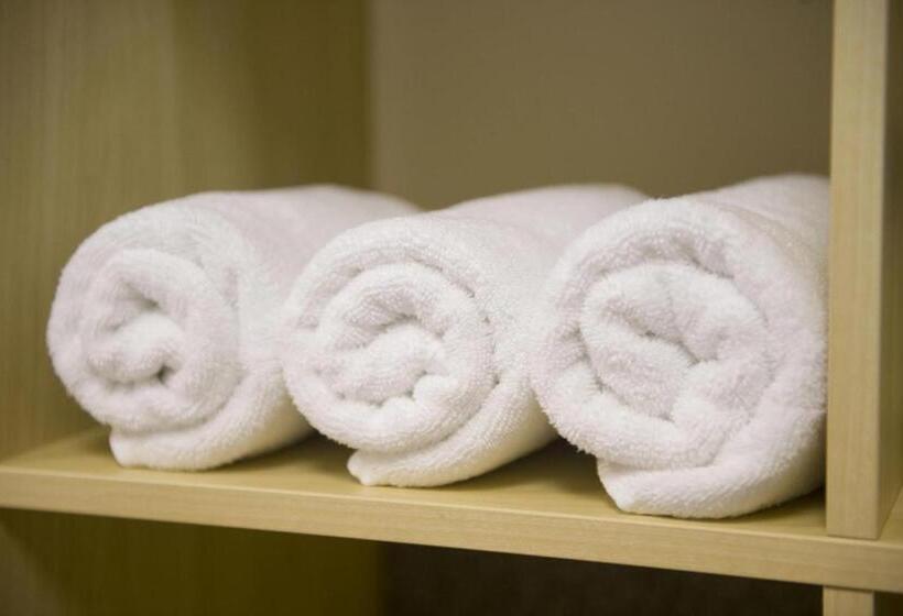اتاق استاندارد یک تخته با سرویس بهداشتی مشترک, Hostel Seven