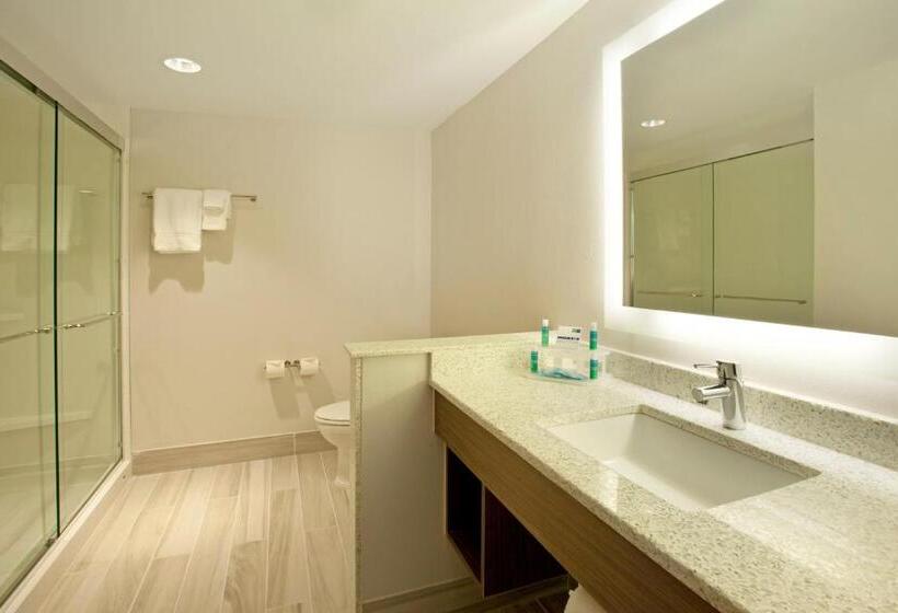 Люкс Адаптированный для Инвалидов, Holiday Inn Express Hotel & Suites Austin Downtown   University, An Ihg
