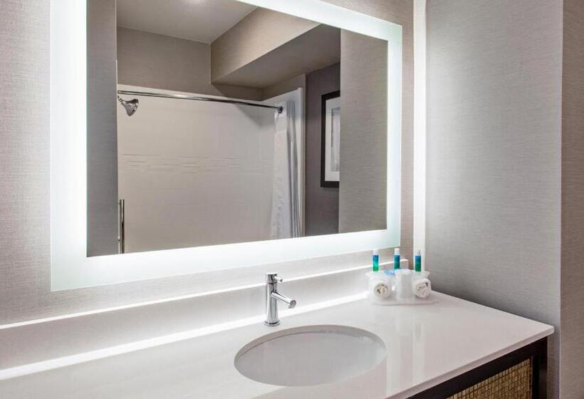 Quarto Deluxe, Holiday Inn Express & Suites Anaheim Resort Area, An Ihg
