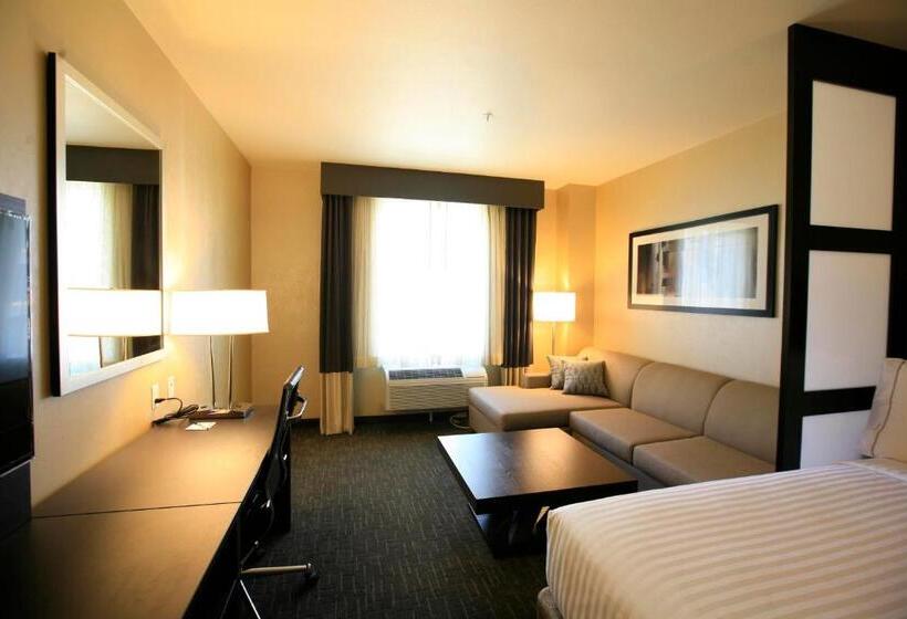 Люкс, Holiday Inn Express & Suites Anaheim Resort Area, An Ihg
