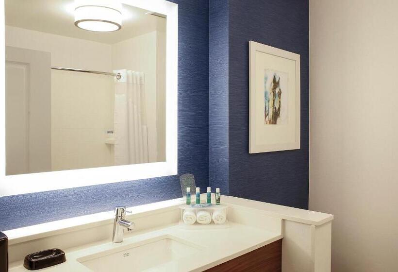 اتاق استاندارد برای معلولان, Holiday Inn Express & Suites Louisville Downtown By Ihg