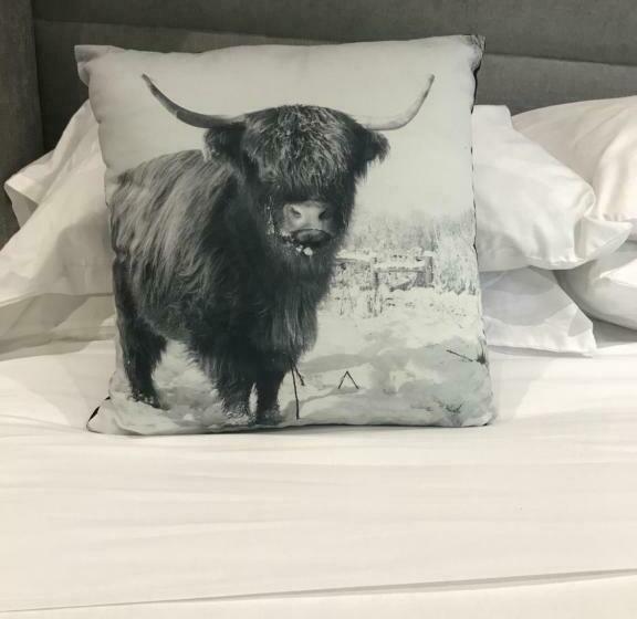 Номер Superior, The Bulls Head