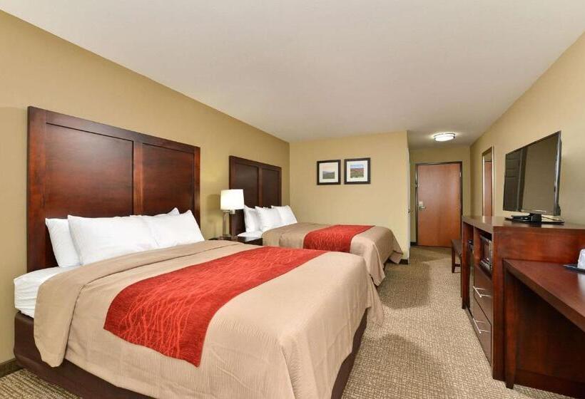 Номер Стандарт, Comfort Inn & Suites Manheim   Lebanon
