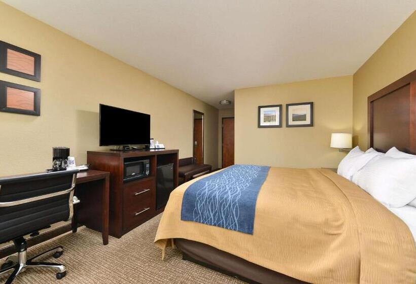 Стандартный Номер Кровать Кинг, Comfort Inn & Suites Manheim   Lebanon