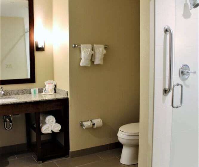 Люкс, Comfort Suites   Dodge City