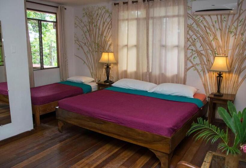 اتاق استاندارد با تخت بزرگ, Jungle Beach Hotel Manuel Antonio