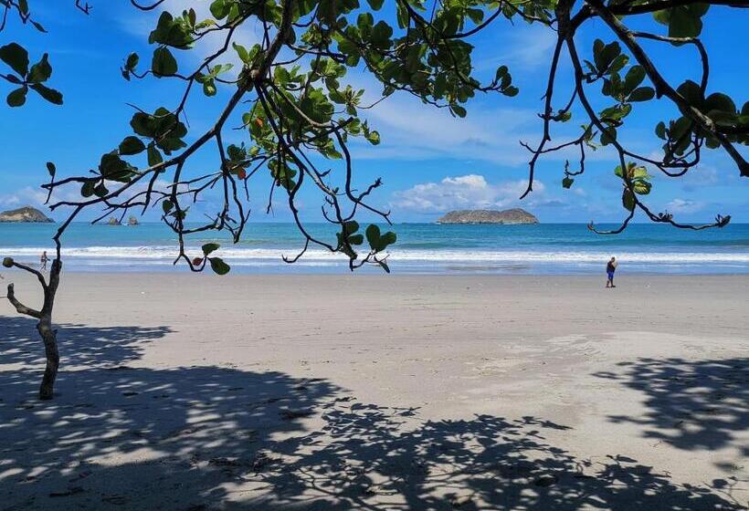 اتاق راحتی, Jungle Beach Hotel Manuel Antonio