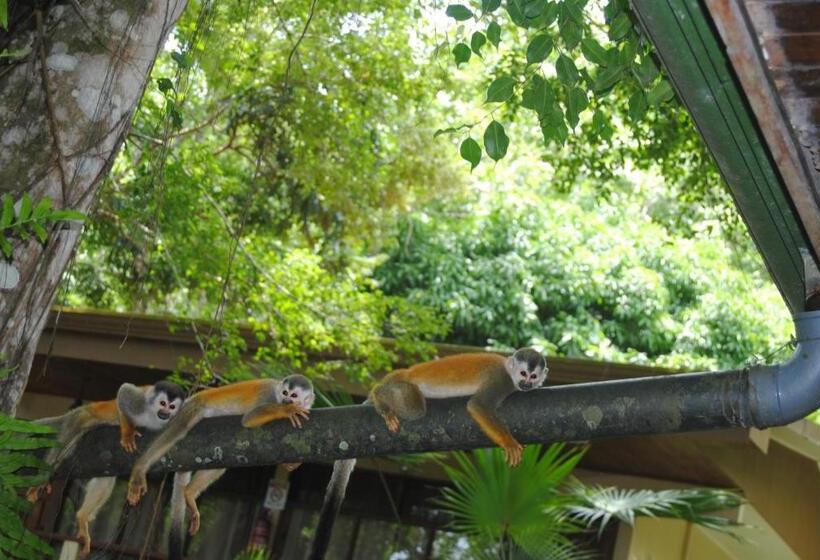 اتاق راحتی, Jungle Beach Hotel Manuel Antonio