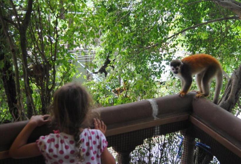 سوییت, Jungle Beach Hotel Manuel Antonio