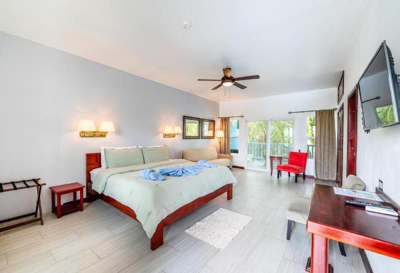 Номер Deluxe Вид на Море с Балконом, Parrot Cove Lodge