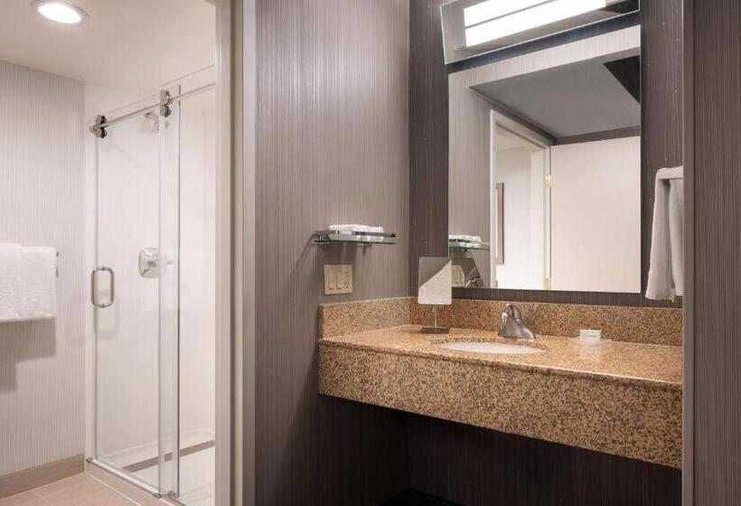 스탠다드 룸 킹사이즈 침대, Courtyard Milpitas Silicon Valley