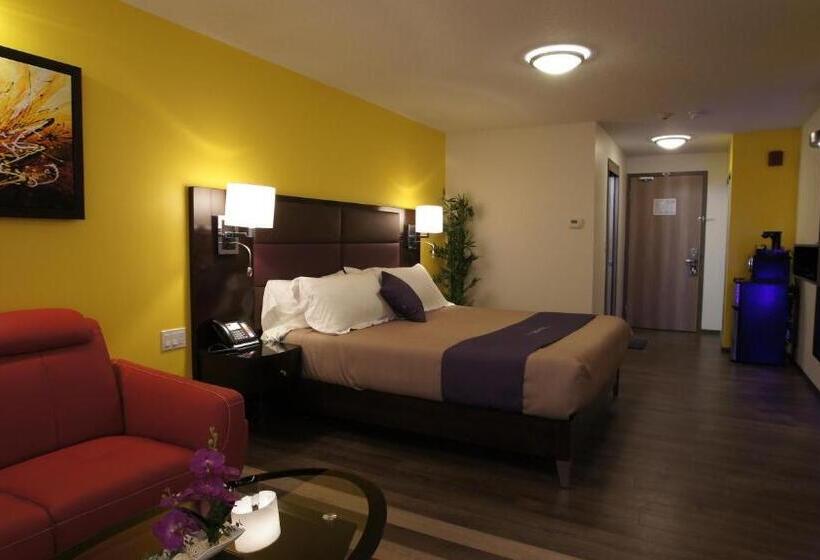 带大床的套房, Dreamz Inn