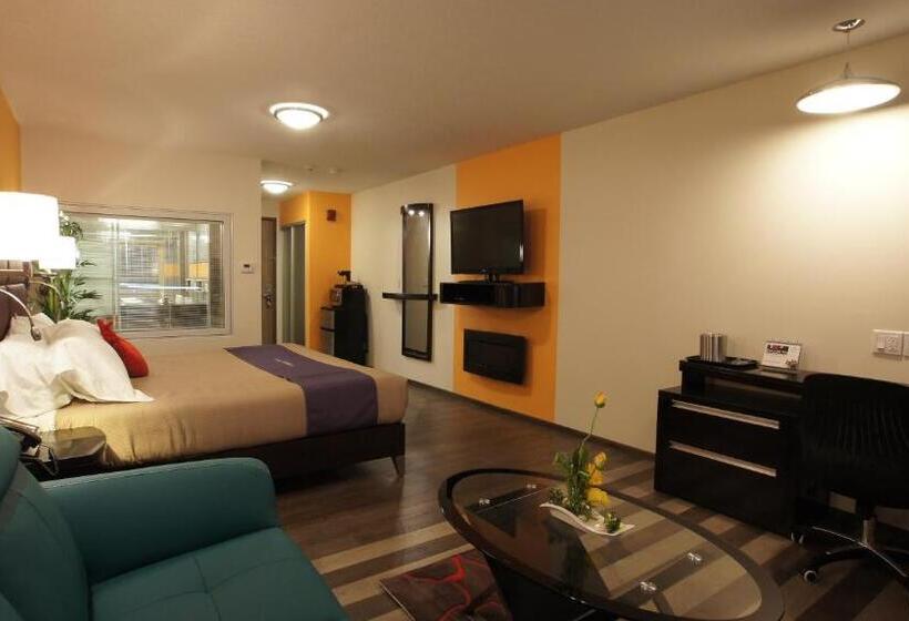 带大床的套房, Dreamz Inn