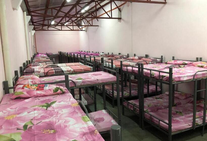 Номер Стандарт Индивидуальный, Mang Ben Dormitory Kaliraya