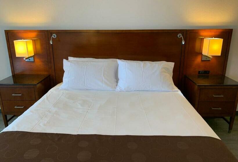 带大床的标准间, The Branson Welcome Inn   Country Blvd