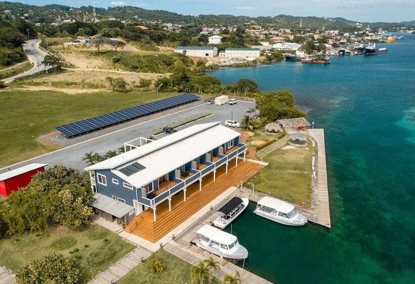 استودیوی استاندارد با چشم‌انداز دریا, Barefoot Cay Resort