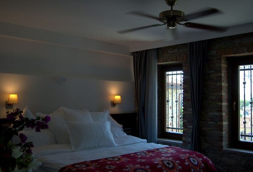 标准间, Ayasoluk Hotel & Restaurant