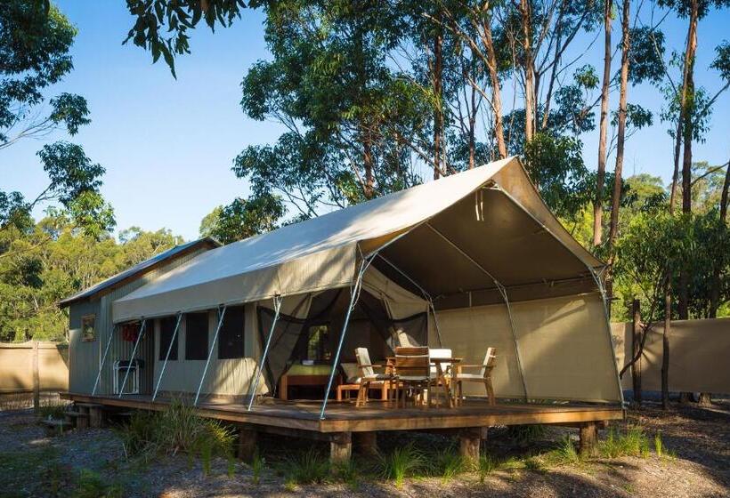 Бунгало Deluxe, Tanja Lagoon Camp