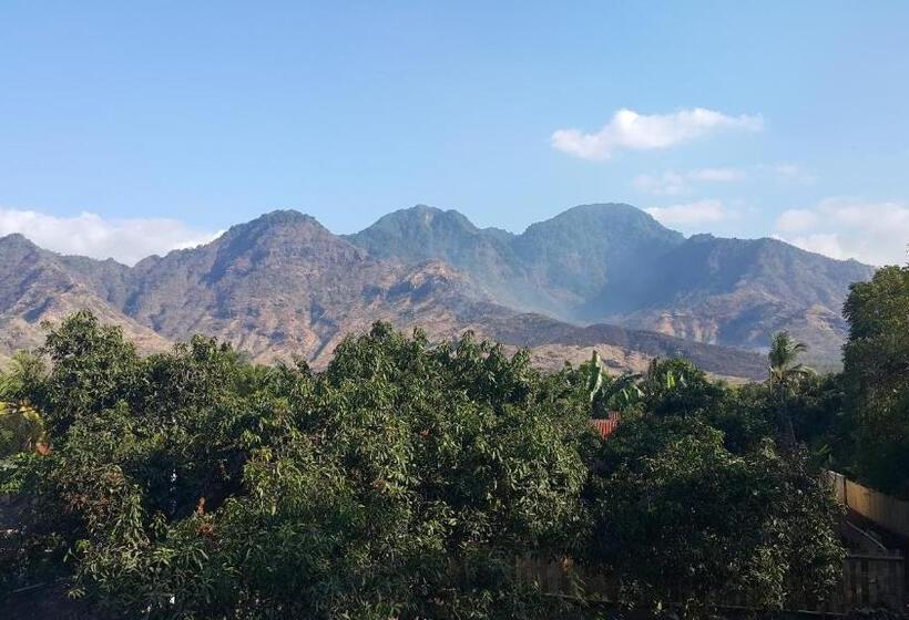 Номер Стандарт с Террасой, Mango Tree Inn