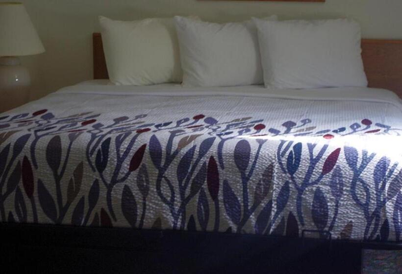 Люкс с гидромассажем, Selby Motel