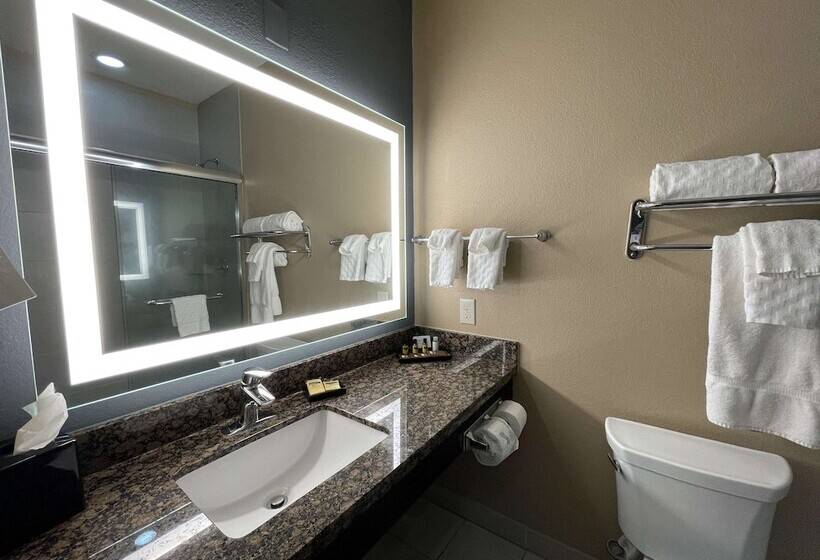 Люкс, Best Western Plus Lake Jackson Inn & Suites