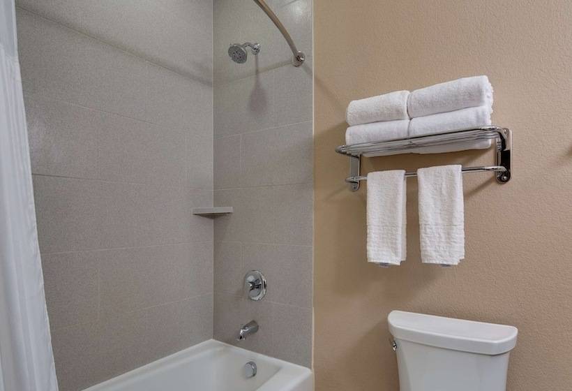 Люкс, Best Western Plus Lake Jackson Inn & Suites