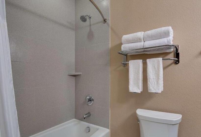 Стандартный Номер Кровать Кинг, Best Western Plus Lake Jackson Inn & Suites