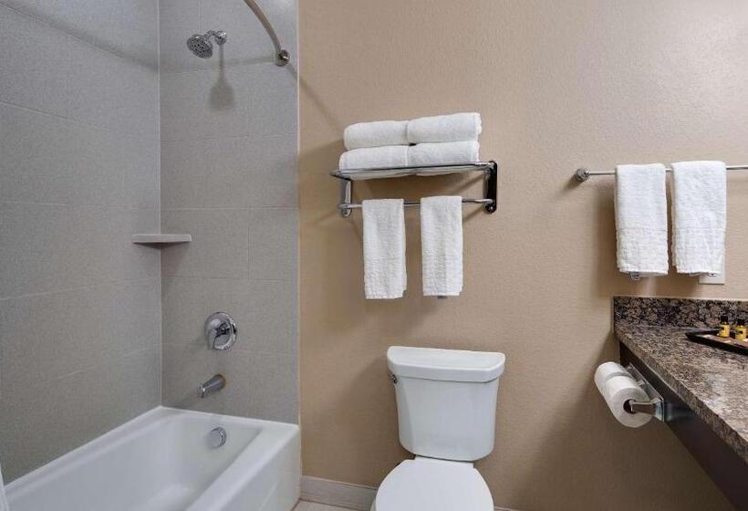 Люкс Кровать Кинг, Best Western Plus Lake Jackson Inn & Suites