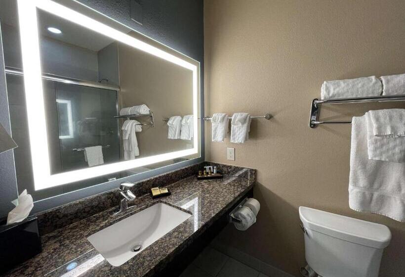 Люкс, Best Western Plus Lake Jackson Inn & Suites