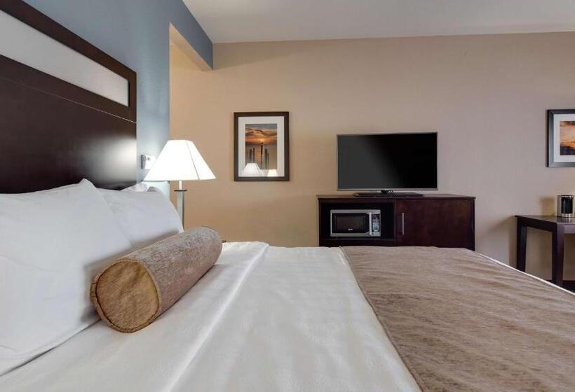 Номер Стандарт Кровать Кинг Адаптированный для Инвалидов, Best Western Plus Lake Jackson Inn & Suites