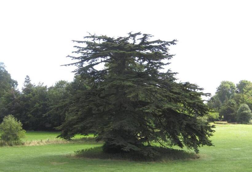 اتاق استاندارد, Home Farm Boreham