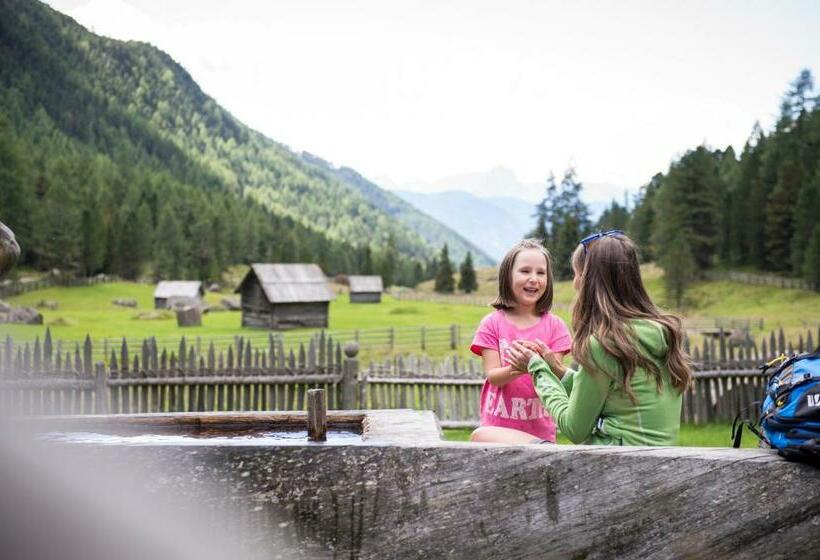 Номер Стандарт с Балконом, Pension Aichner