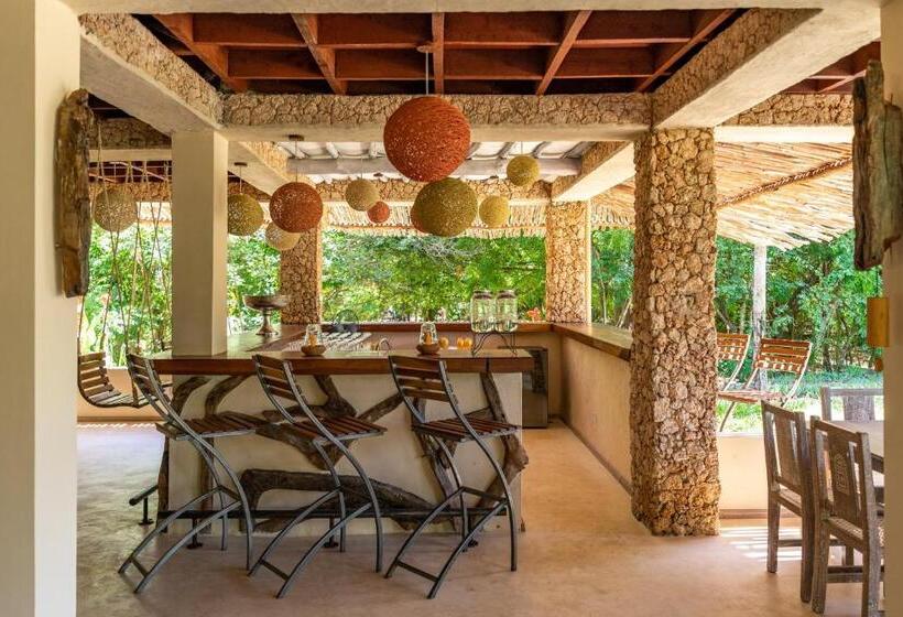 اتاق لوکس با بالکن, Tombo House