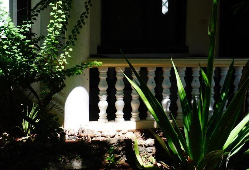 بانگلوی لوکس, Flower Garden Resort