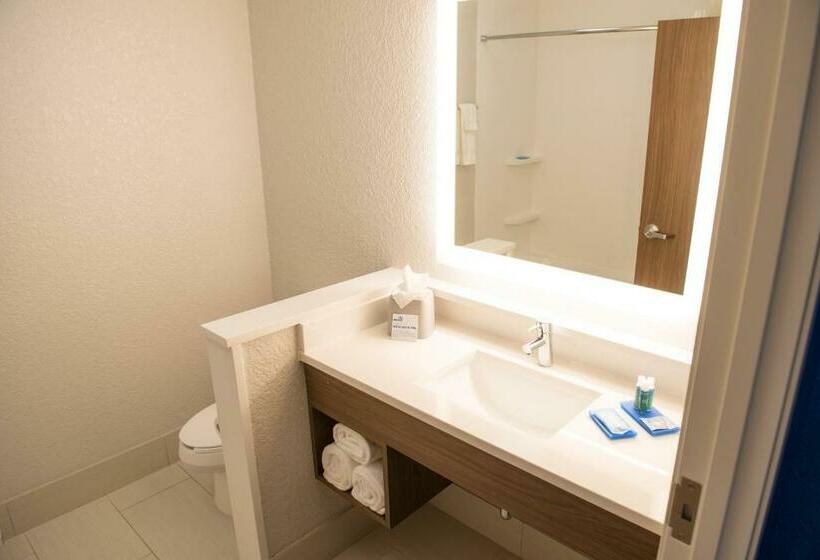 스탠다드 룸, Holiday Inn Express & Suites   Fort Wayne North, An Ihg
