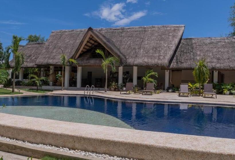 اتاق سوپریور با چشم‌انداز استخر, The Mayana Resort