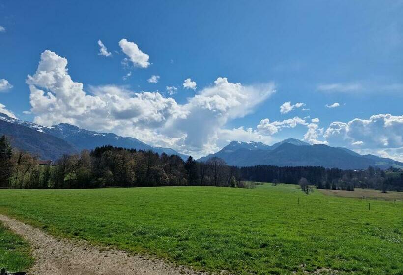 Номер Стандарт, Seeberghof